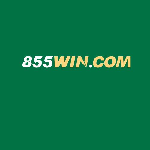 Logo da 855WIN